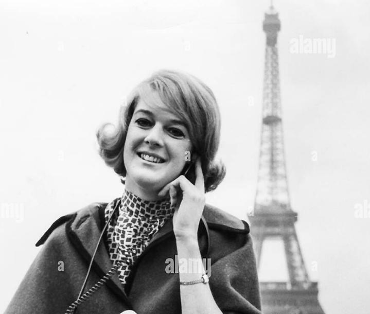 Agnes des nlp
