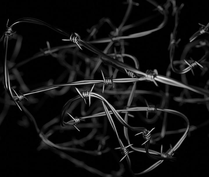 Barbed wire 6884984 1280